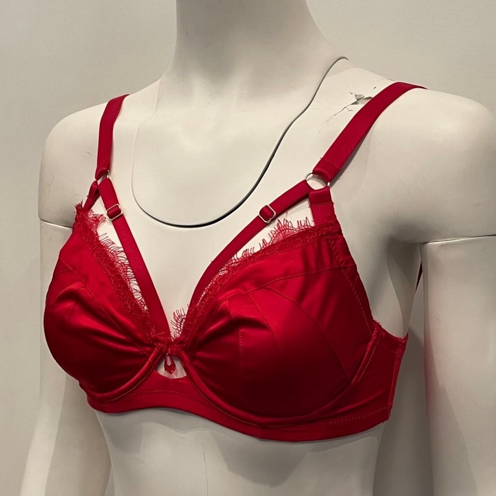 BNWT Playful Promises Caroline Strappy Bra Red Lace 30DD